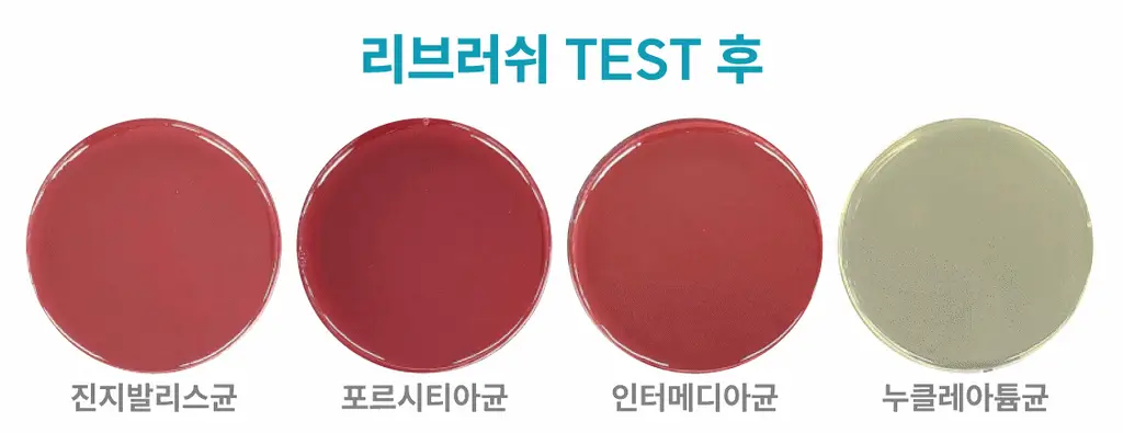 [5L 용량] 100배 농축 리브러쉬 농축 가글액 50ml 2종 택1 상세페이지 32